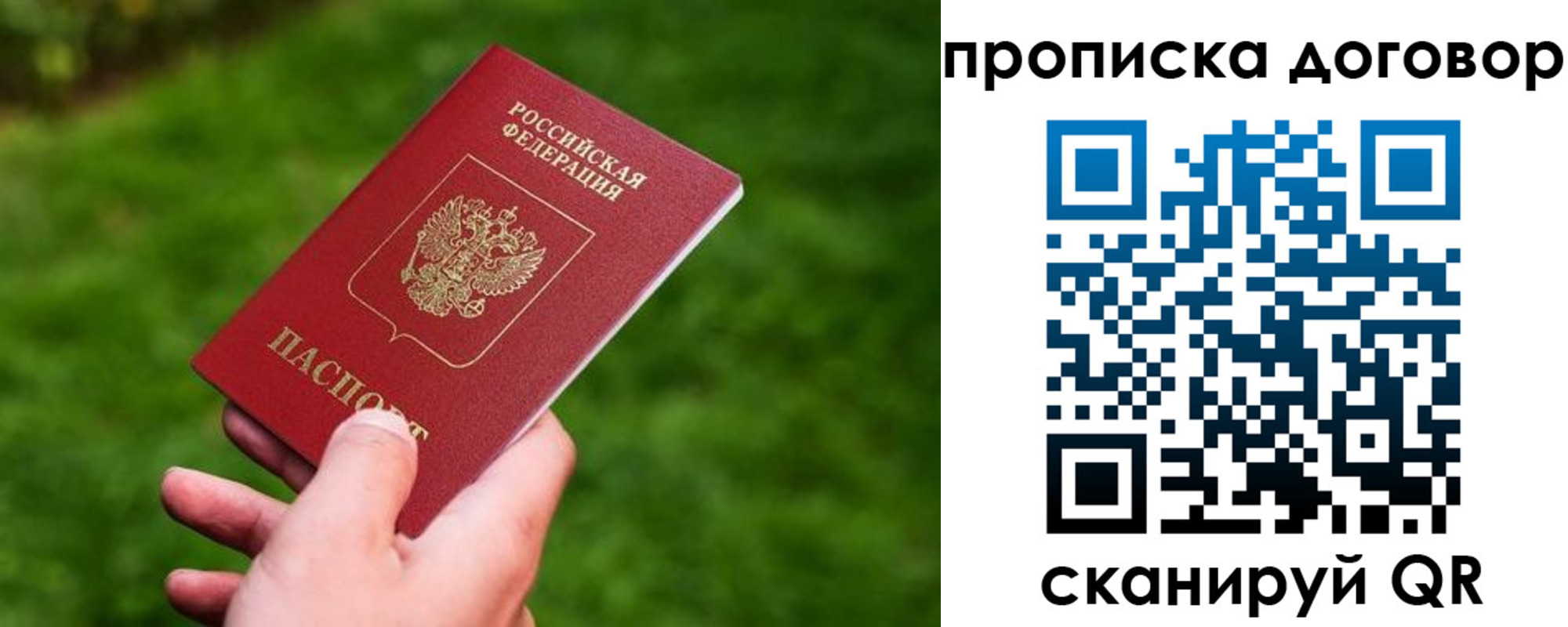 прописка гарантия в Моздоке